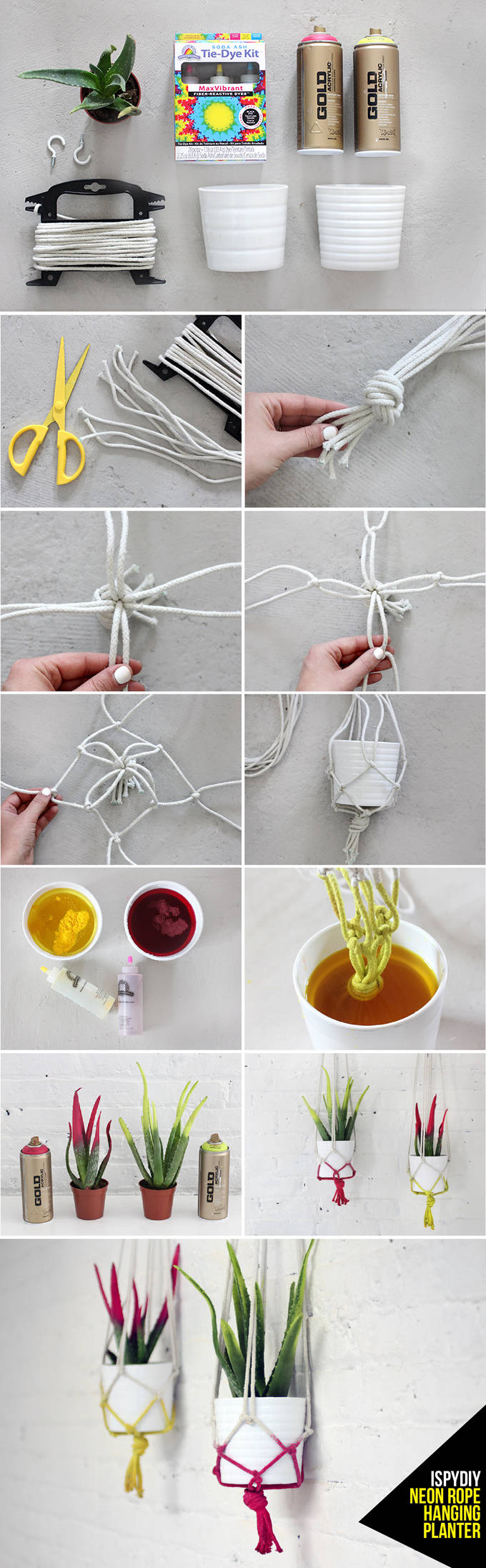 Pot suspendu avec des cordes