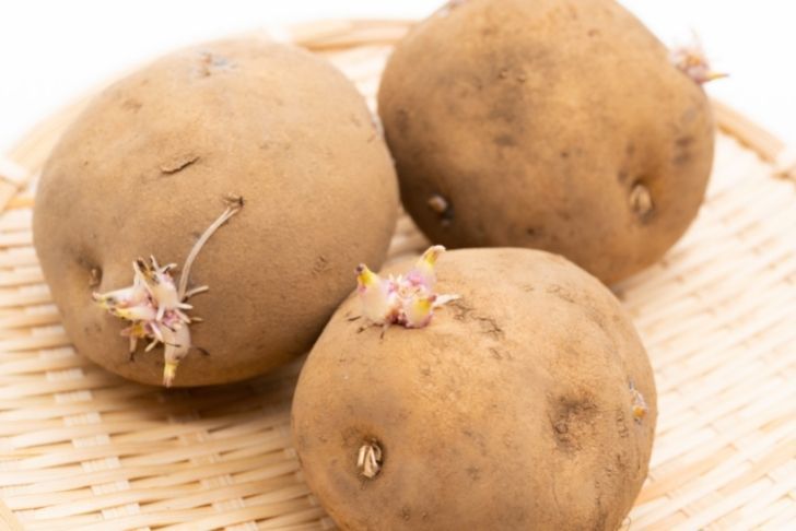 6 astuces pour empêcher les pommes de terre de germer