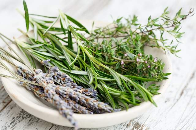 les herbes naturelles contre les cheveux gras