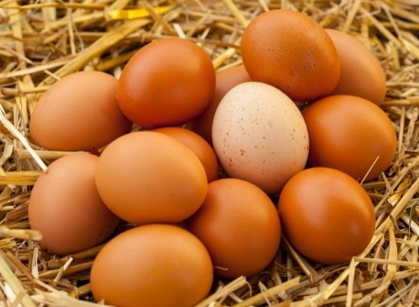 Oeufs