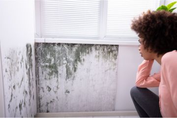 Comment éliminer définitivement les moisissures des murs