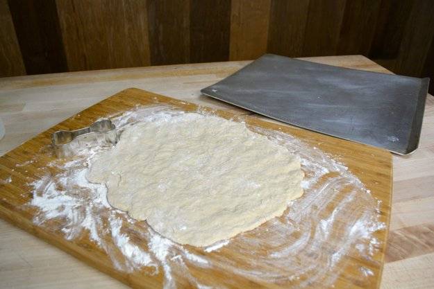 Biscuits pour chien