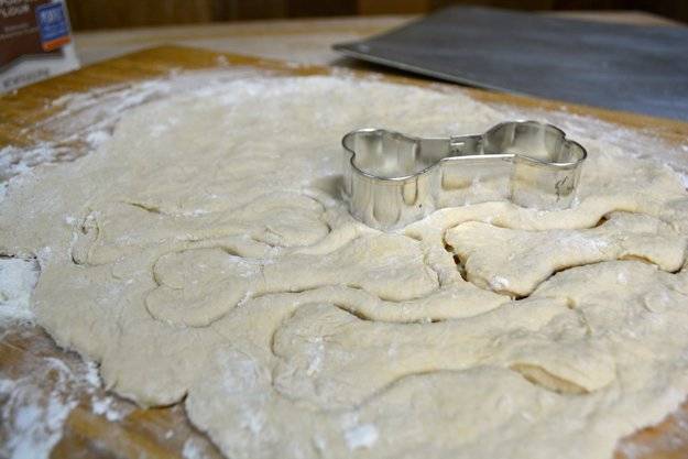 Biscuits pour chien