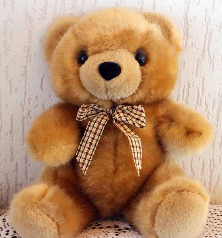 Comment laver un jouet en peluche Guide Astuces