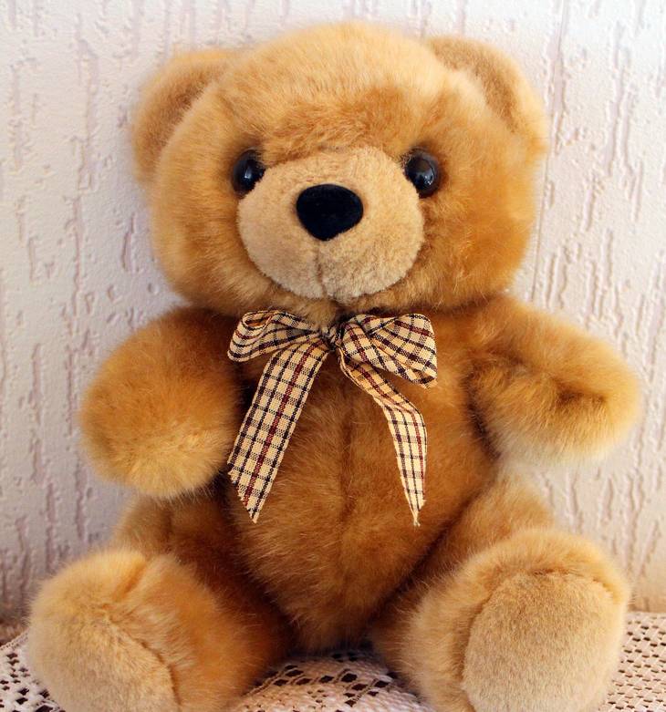 Comment laver un jouet en peluche