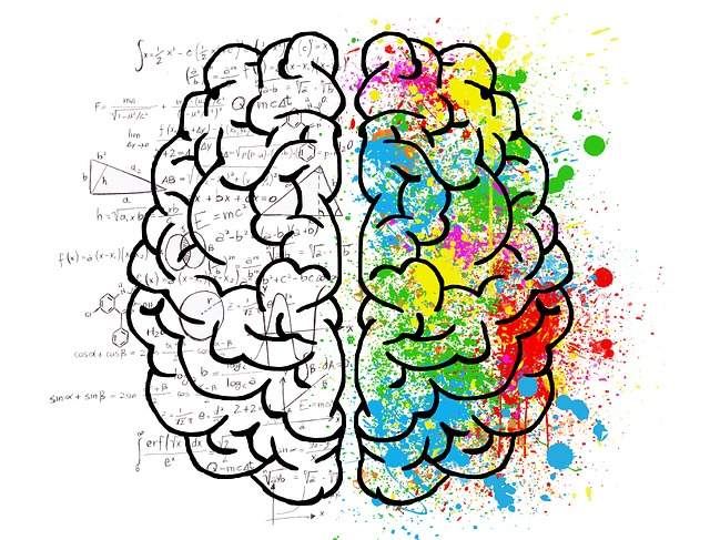 schéma de cerveau logique apprentissage