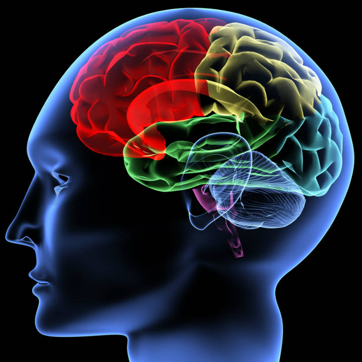 Petit test d'intelligence