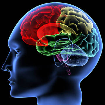 Petit test d'intelligence