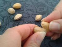 Ouvrir une pistache à peine ouverte