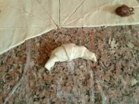 Mini croissants au Nutella