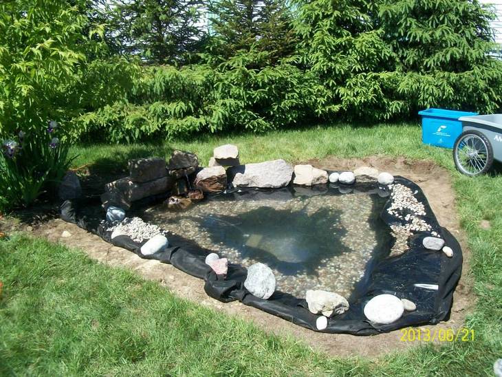 Construction Jardin d'eau