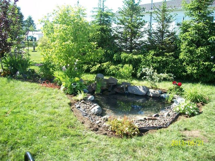 Construction Jardin d'eau