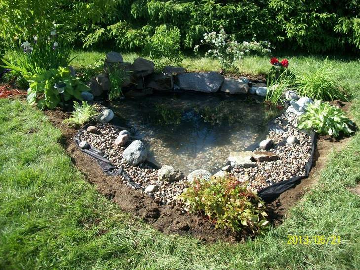 Construction Jardin d'eau