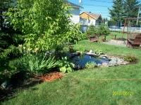Construction Jardin d'eau