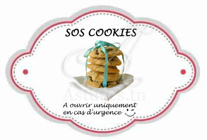 https://www.guideastuces.com/A11947-Kit-SOS-Cookies---un-cadeau-gourmand