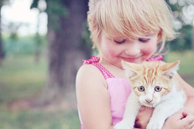 petite fille qui tien un chaton. Les enfants qui grandissent avec un animal de compagnie ont deux fois moins de risque de développer des allergies ou de l'asthme
