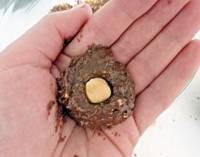 Ferrero Rocher fait-maison