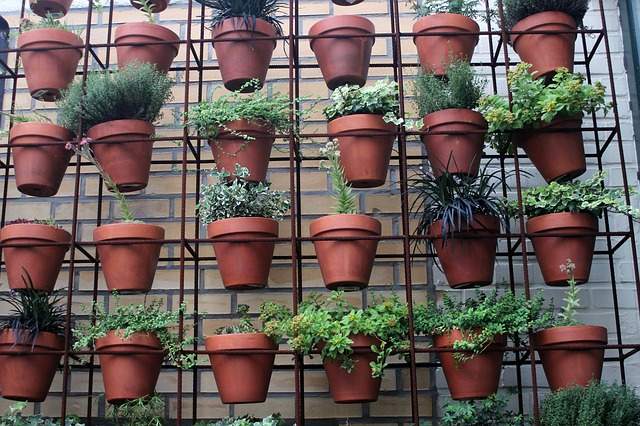 jardin vertical de pots de fleurs