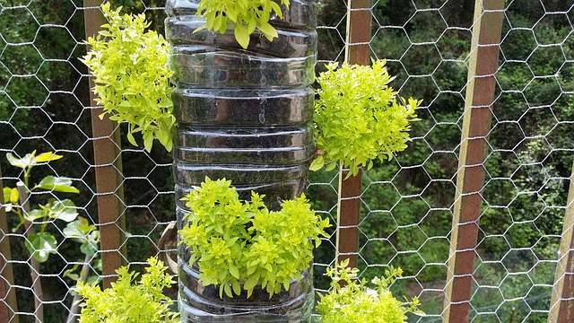 jardin vertical DIY à partir de bouteilles en plastique de récup