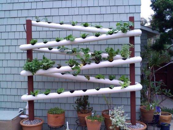 jardin vertical en tubes de PVC