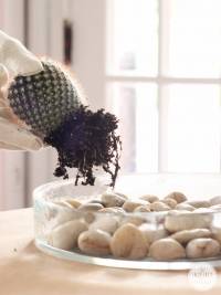 Terrarium original pour vos mini-cactus