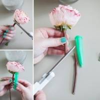 Décoration avec des fleurs fraîches dans le sable