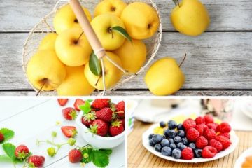 Le top 10 des aliments les plus antioxydants