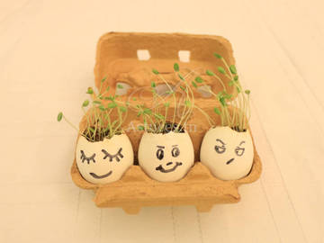 Bougies œufs