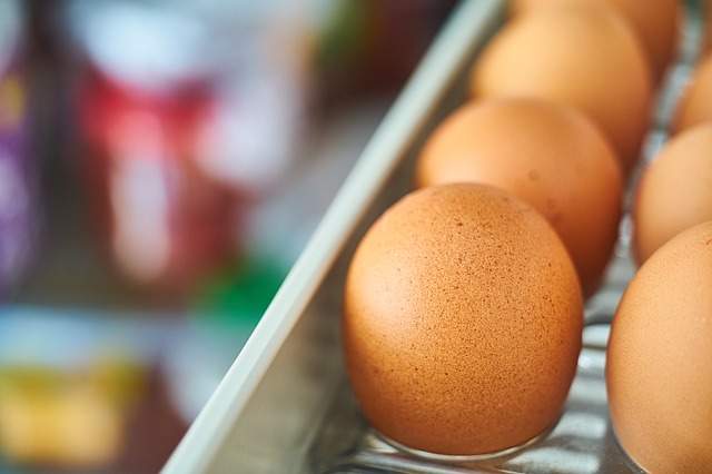 oeufs dans un frigo