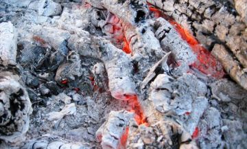 Cendres de bois : 20 utilisations méconnues