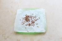 Astuces jardinage
