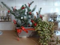 Jardinière de noël