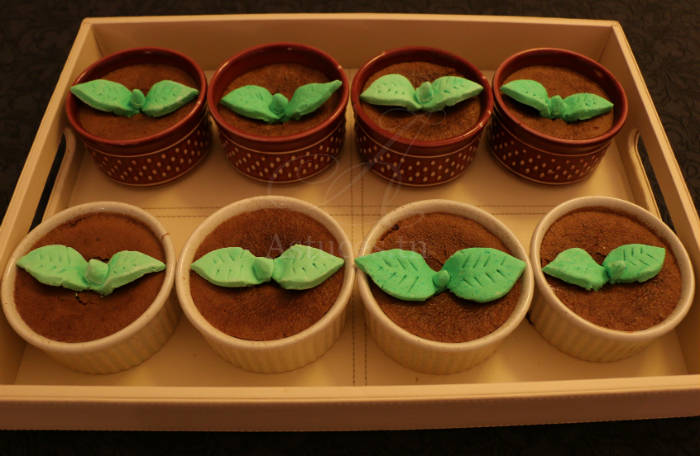 Gâteaux pots de fleurs