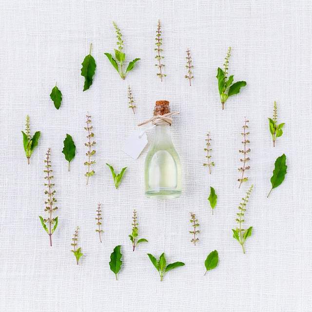 herbes naturelles pour les soins de beauté