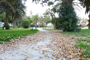 Créer une allée de jardin