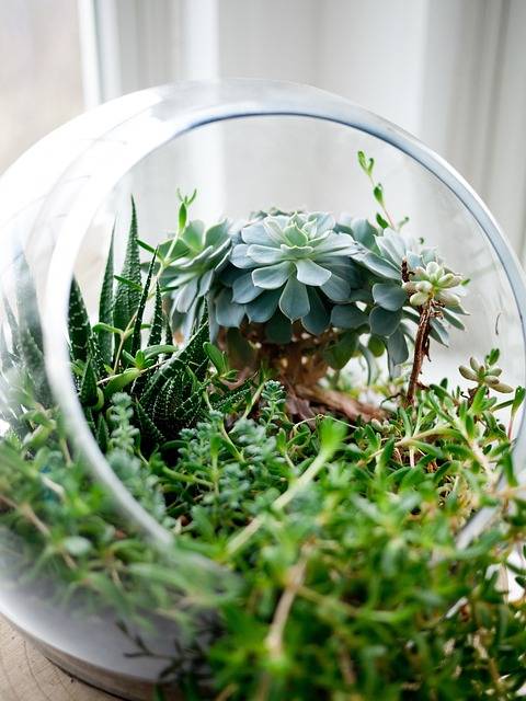 Mini jardins zen dans des pots de récup