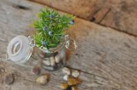 Mini jardins zen dans des pots de récup