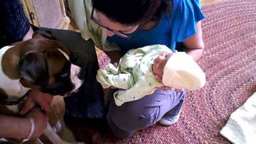 Comment préparer votre animal de compagnie à l'arrivé de votre bébé