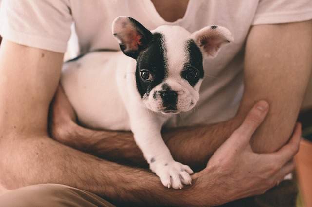 homme avec un chiot dans ses bras