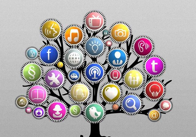 arbre représentant les recherches les plus populaires sur Google