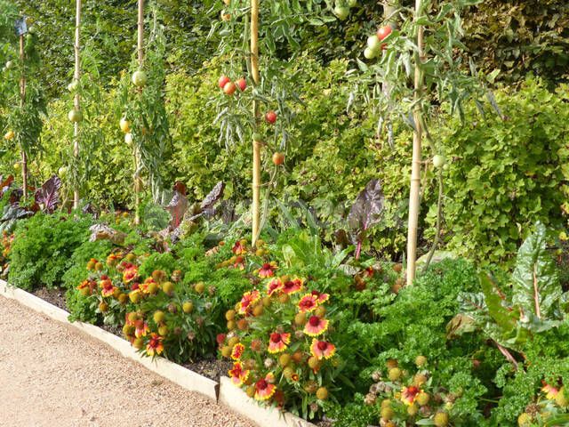 Potager décoratif