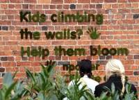 Décorez vos murs avec un graffiti en mousse végétale