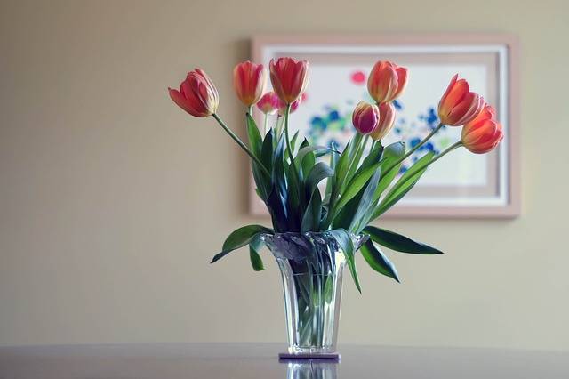 Que mettre dans l'eau pour conserver les fleurs