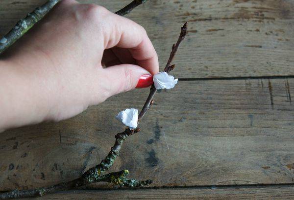 Branche fleurie décorative