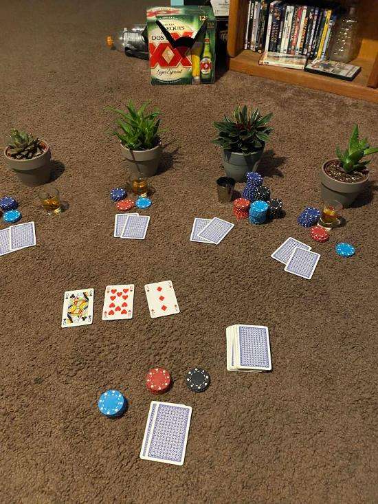 Quand les plantes commencent à te répondre