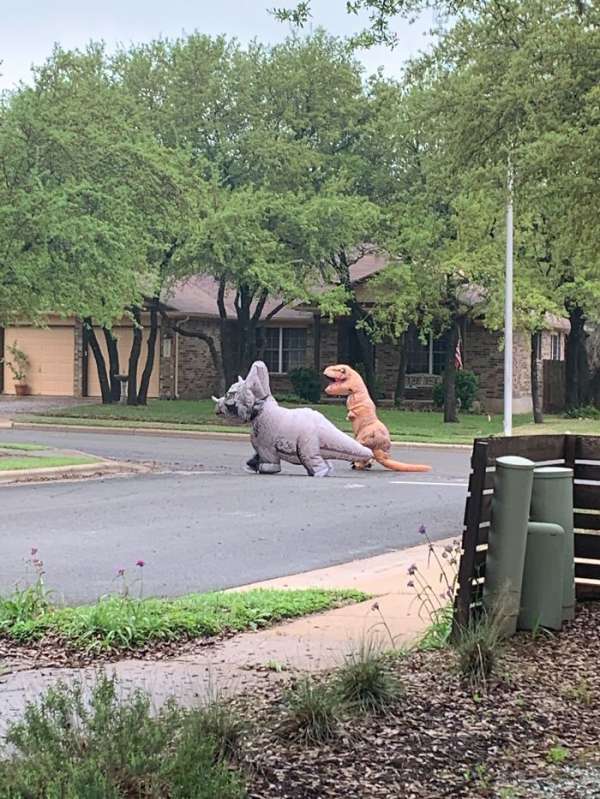 Les dinosaures sont de retour