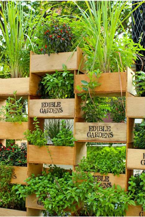 Recyclez des cageots en bois pour faire un jardin vertical