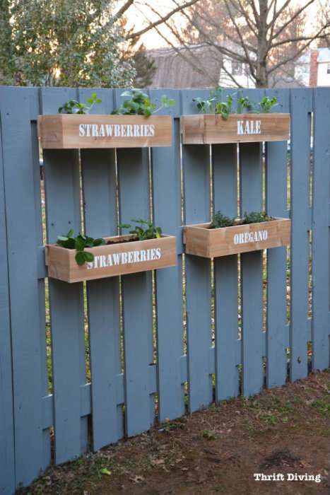 Utilisez votre clôture pour faire un jardin vertical