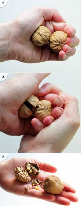 Ouvrir des noix sans casse-noix en pressant 2 noix à la fois dans vos mains