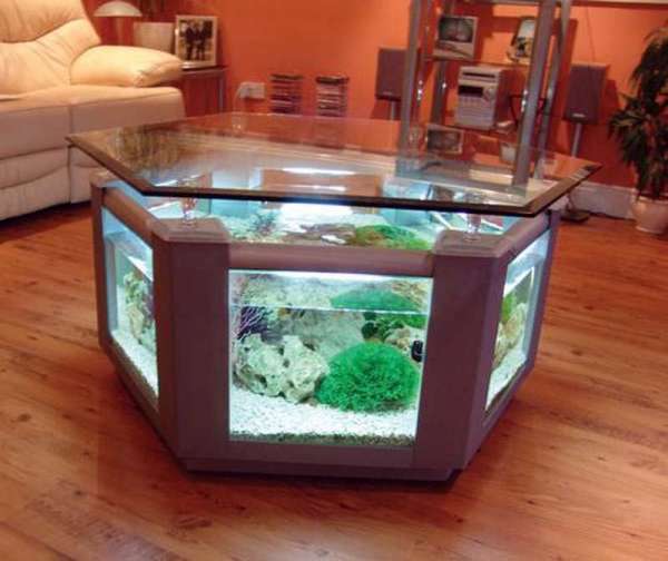 Une touche exotique dans votre salon avec cette table basse aquarium